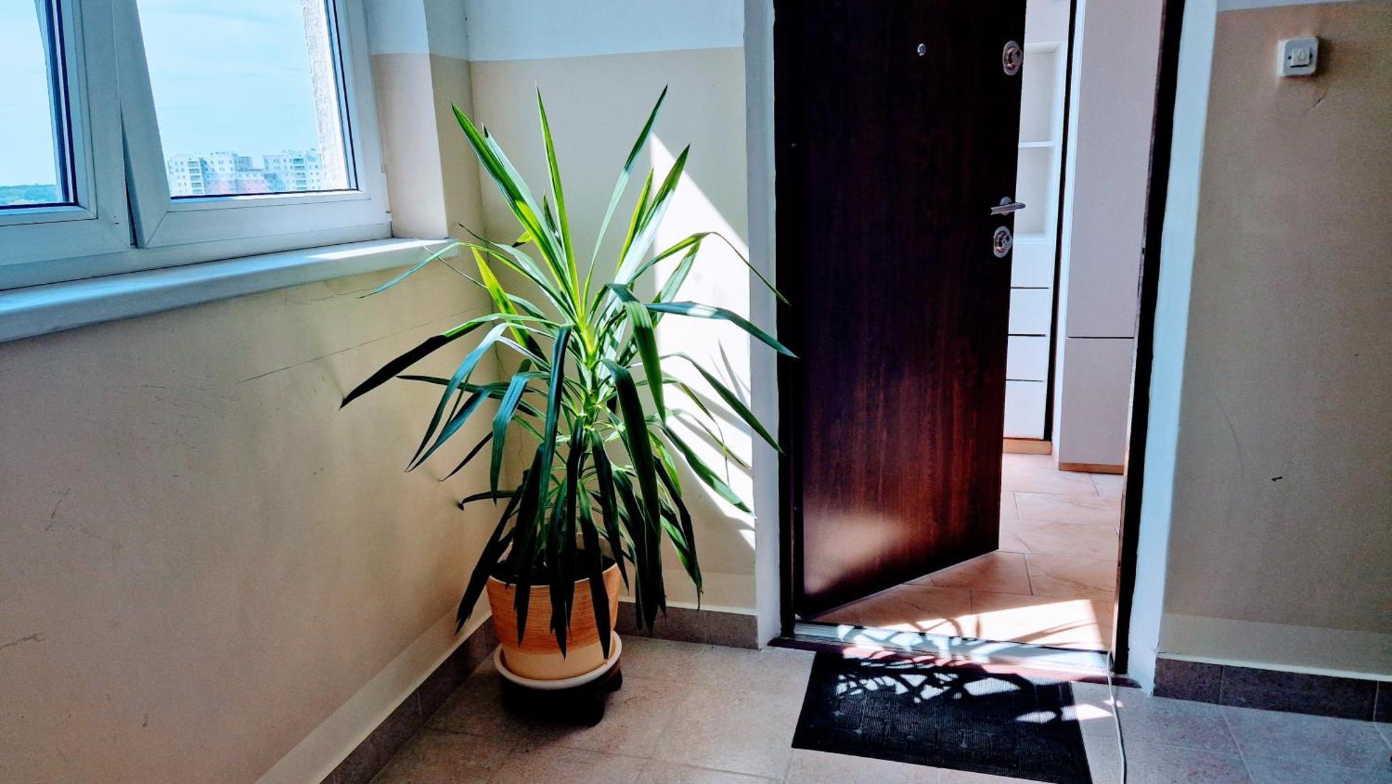 Meander Natolin Pokoje Blisko Metra Warszawa Exteriör bild